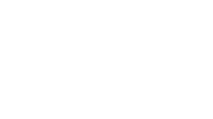 CSM Aviation Logo